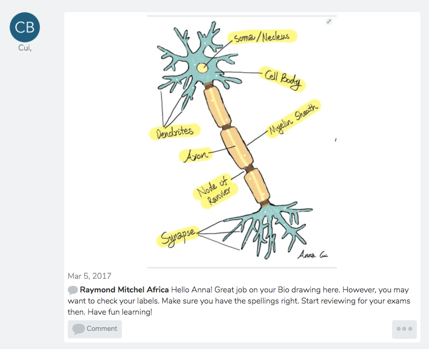 Screen Shot 2017-03-12 at 10.35.33 AM
